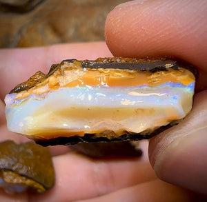 The 74.5cts - 3x Yowah Nut Crystal Centre Rough Pieces. Australian Opal - Opal Whisperers