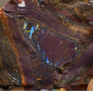 290g - Queensland Boulder Opal Rough Rub Preforms - Opal Whisperers