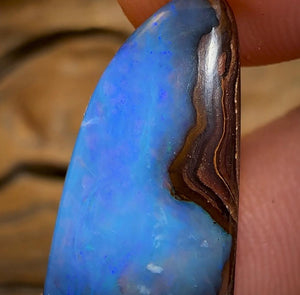 The 15cts - Yowah Nut Opal. Australian Opal - Opal Whisperers