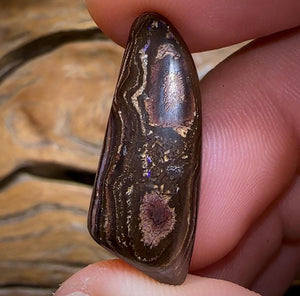 The 15cts - Yowah Nut Opal. Australian Opal - Opal Whisperers