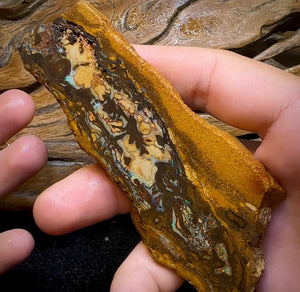 The 338.8cts - 6x Yowah Nut Rough Slabs. Australian Opal - Opal Whisperers