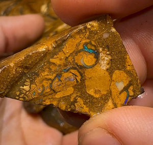 169g - Queensland Boulder Opal Rough Slices - Opal Whisperers