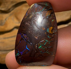 31.7cts - Queensland Boulder Black Opal from Koroit - Opal Whisperers