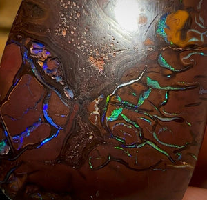 31.7cts - Queensland Boulder Black Opal from Koroit - Opal Whisperers