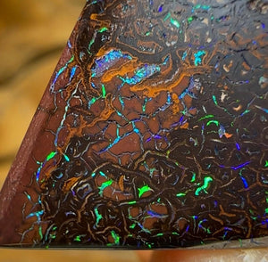 29.6cts - Queensland Boulder Opal. Australian Opal  - Opal Whisperers