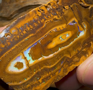 147g - Yowah Nut Opal Rough Slab Pair - Opal Whisperers