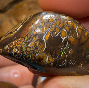 204.2cts - 3x Queensland Boulder Australian Opal Rubs. Great Crystal Center Yowah Nut - Opal Whisperers