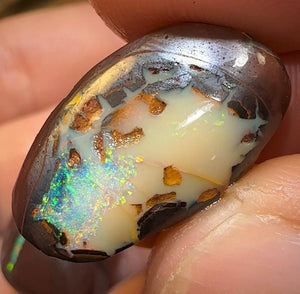 102.2cts - 3x Queensland Boulder Australian Opal Rubs with Kernels - Opal Whisperers