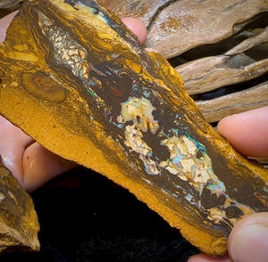 The 338.8cts - 6x Yowah Nut Rough Slabs. Australian Opal - Opal Whisperers