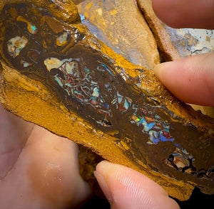 The 338.8cts - 6x Yowah Nut Rough Slabs. Australian Opal - Opal Whisperers