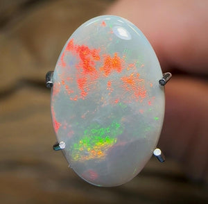 1.7cts - Lightning Ridge Solid Semi Black Opal - Opal Whisperers