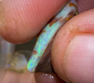 125.4cts - WATCH VIDEO!! High quality Fossil Shell Rough Opal Crystal - Opalwhisperers