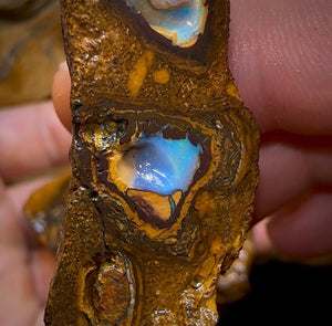 The 368.4cts - 3x Yowah Nut Rough Pieces. Crystal Center Conglomerate Australian Opal @ 1|Ct - Opal Whisperers