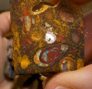 290g - Queensland Boulder Opal Rough Rub Preforms - Opal Whisperers