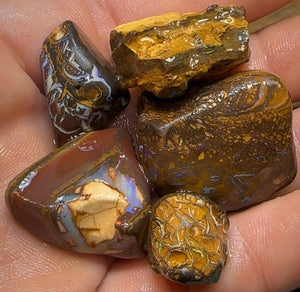 294.7cts - 5x Queensland Australian Opal Boulder Rough Rub Preforms - Opal Whisperers