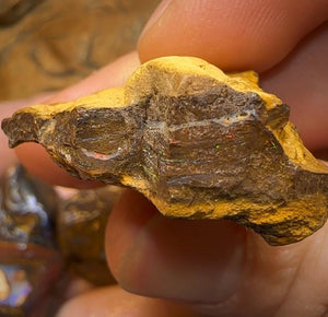 294.7cts - 5x Queensland Australian Opal Boulder Rough Rub Preforms - Opal Whisperers