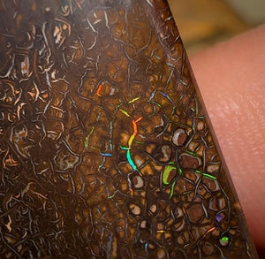 24.5cts - Electric Black Tribal Queensland Boulder Australian Opal.  - Opal Whisperers