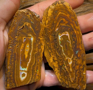 147g - Yowah Nut Opal Rough Slab Pair - Opal Whisperers