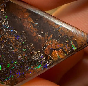 29.6cts - Queensland Boulder Opal. Australian Opal  - Opal Whisperers