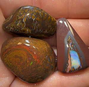 204.2cts - 3x Queensland Boulder Australian Opal Rubs. Great Crystal Center Yowah Nut - Opal Whisperers