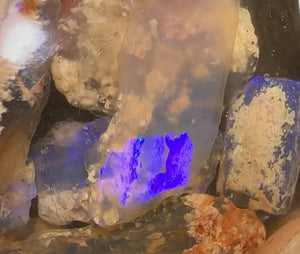 66cts - Lightning Ridge, Fossil Rough Opal Specimen - Opalwhisperers