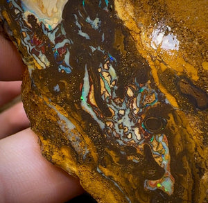 The 338.8cts - 6x Yowah Nut Rough Slabs. Australian Opal - Opal Whisperers