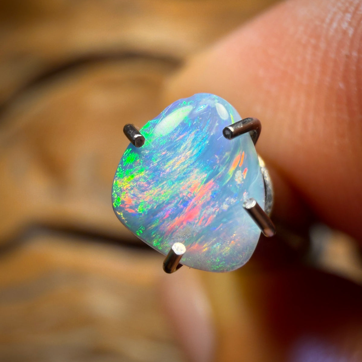 0.2cts - Polished South Australian Shell Fossil Opal
