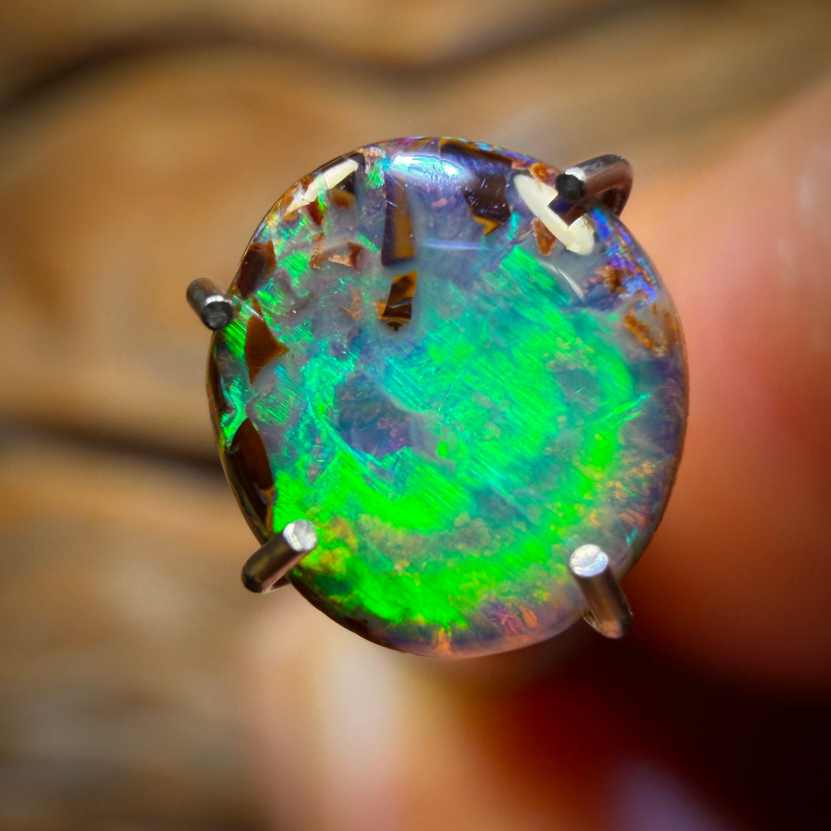 0.6cts - Australian Boulder Opal from Yowah