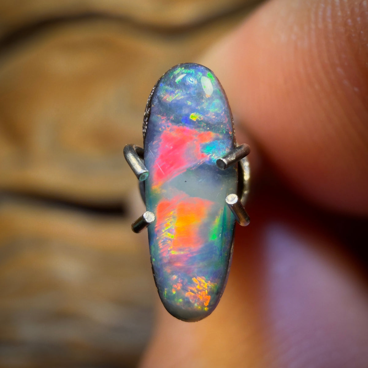 Australian Multicolor Crystal Opal Fossil Section Rub Australian Multicolor Crystal Opal Fossil Section Rub