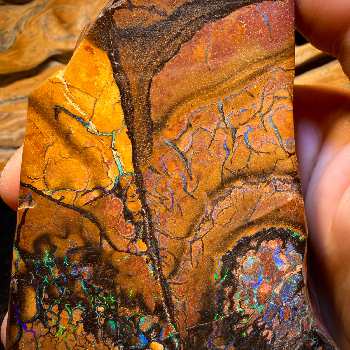 4278cts(Nearly 1 kg) - GIANT Tribal Yowah Nut Opal Pair. Polished Specimens