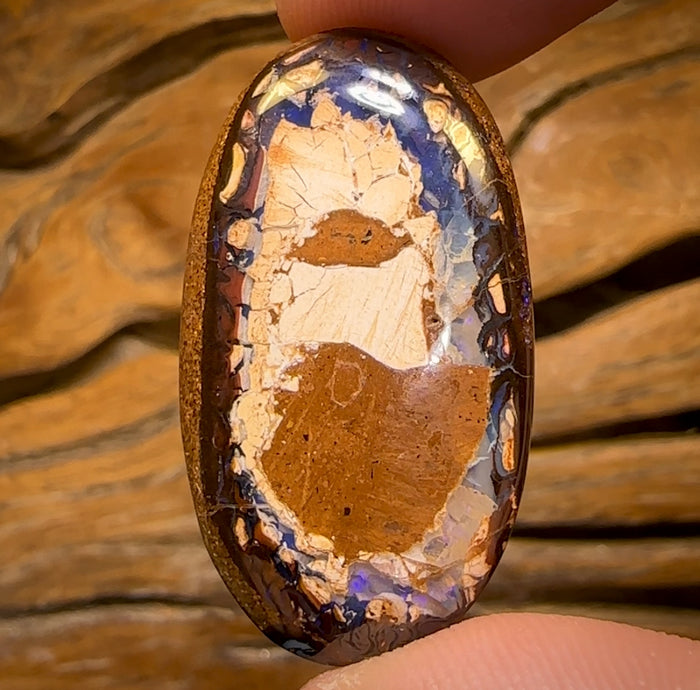 🔨 AUCTION 🔨 31.7cts - Yowah Nut Kernel Opal. Australian Boulder Opal