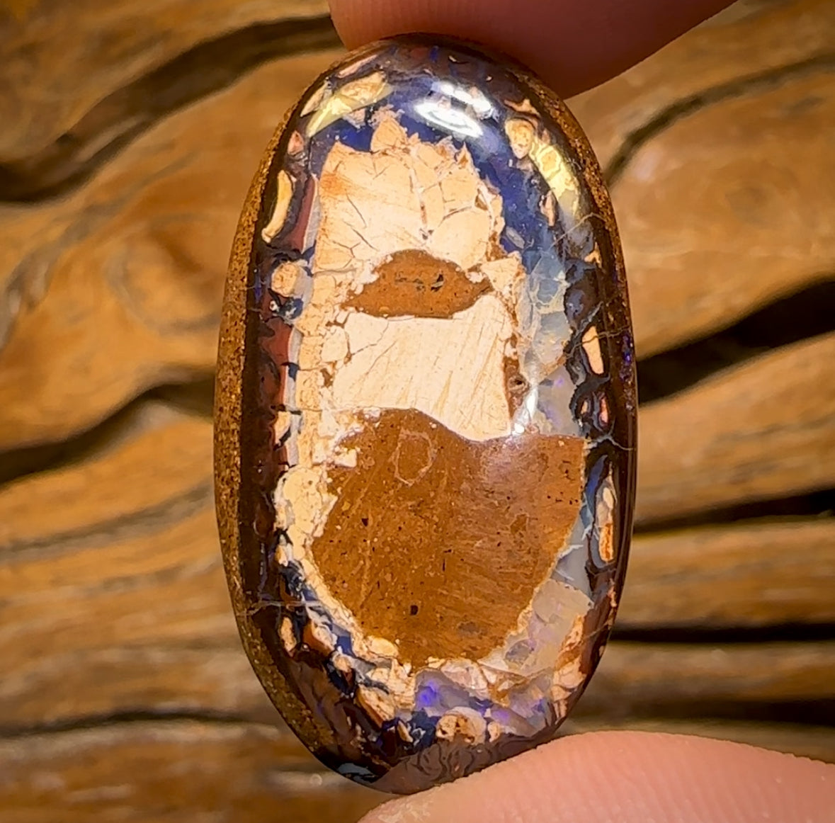 31.7cts - Yowah Nut Kernel Opal. Australian Boulder Opal