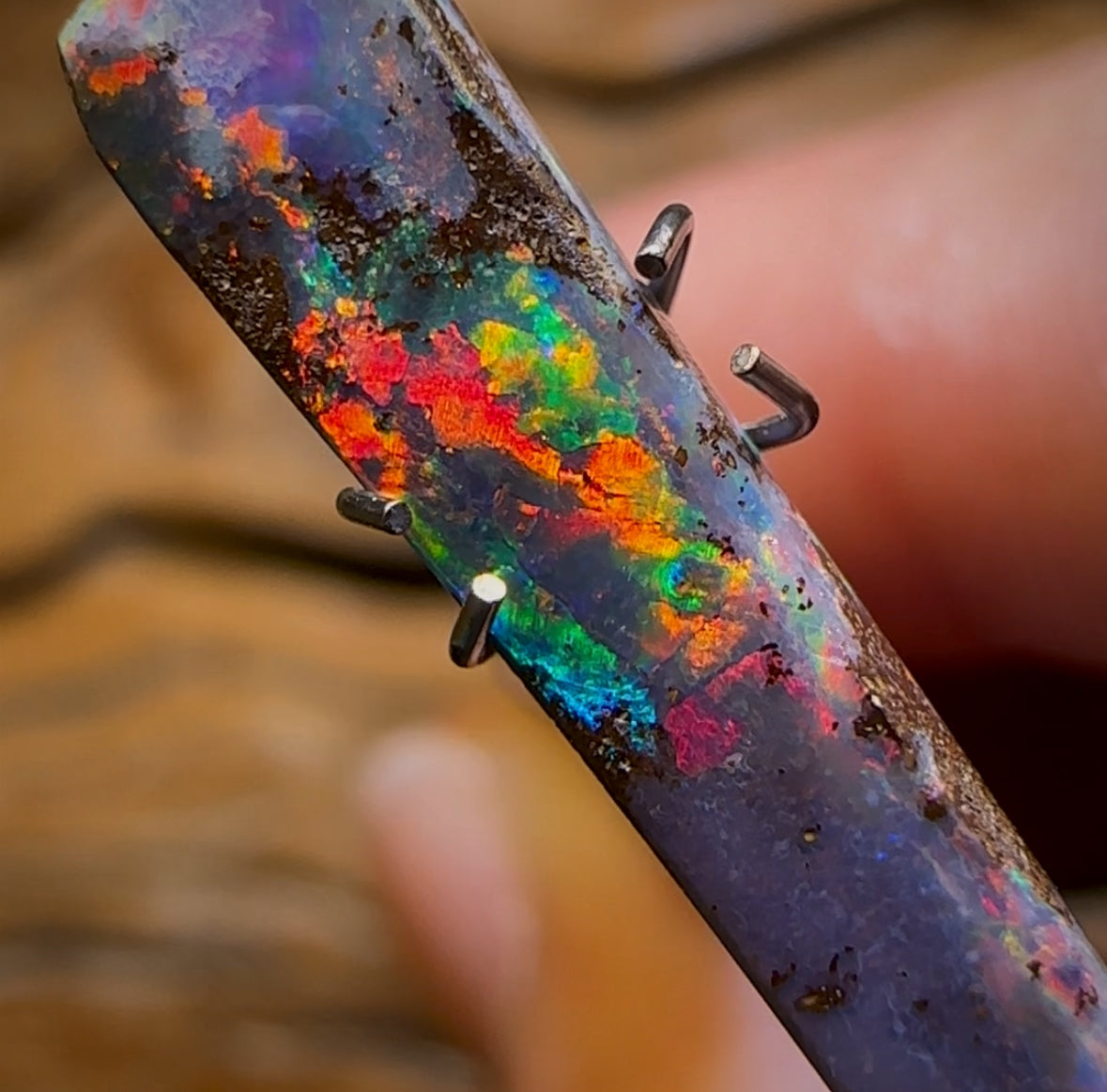 3.15cts - “Red Flash Family Crimson Fire” Queensland Boulder Seam Opal