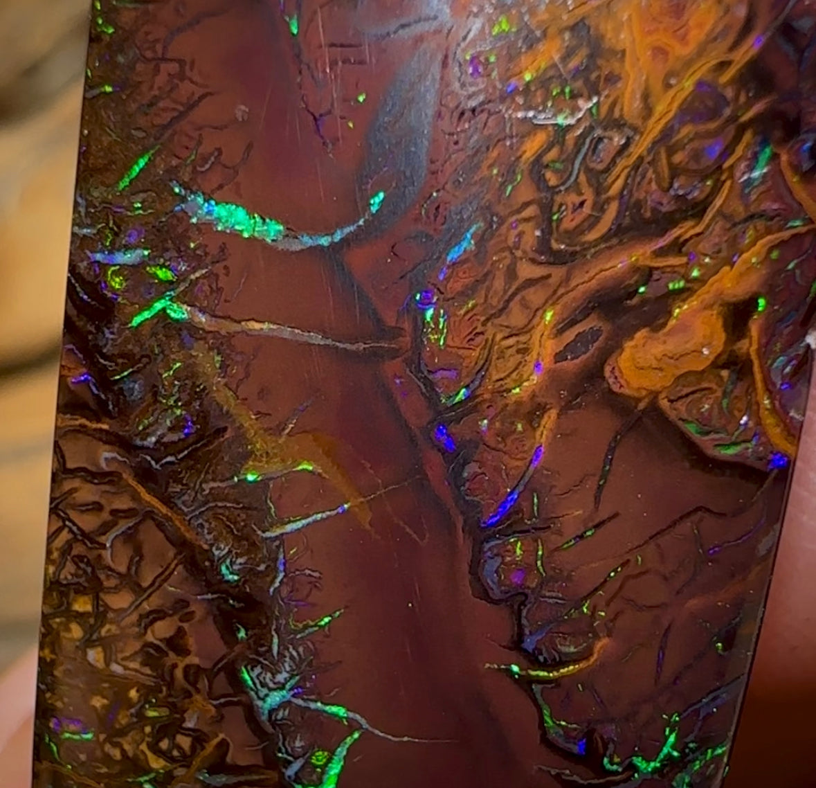 48.3cts - Tribal Pattern Electric Koroit Nut Opal - Opal Whisperers