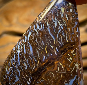 22.6cts - “Deep Forrest’s Fears” Tribal Queensland Boulder Opal Picture Stone