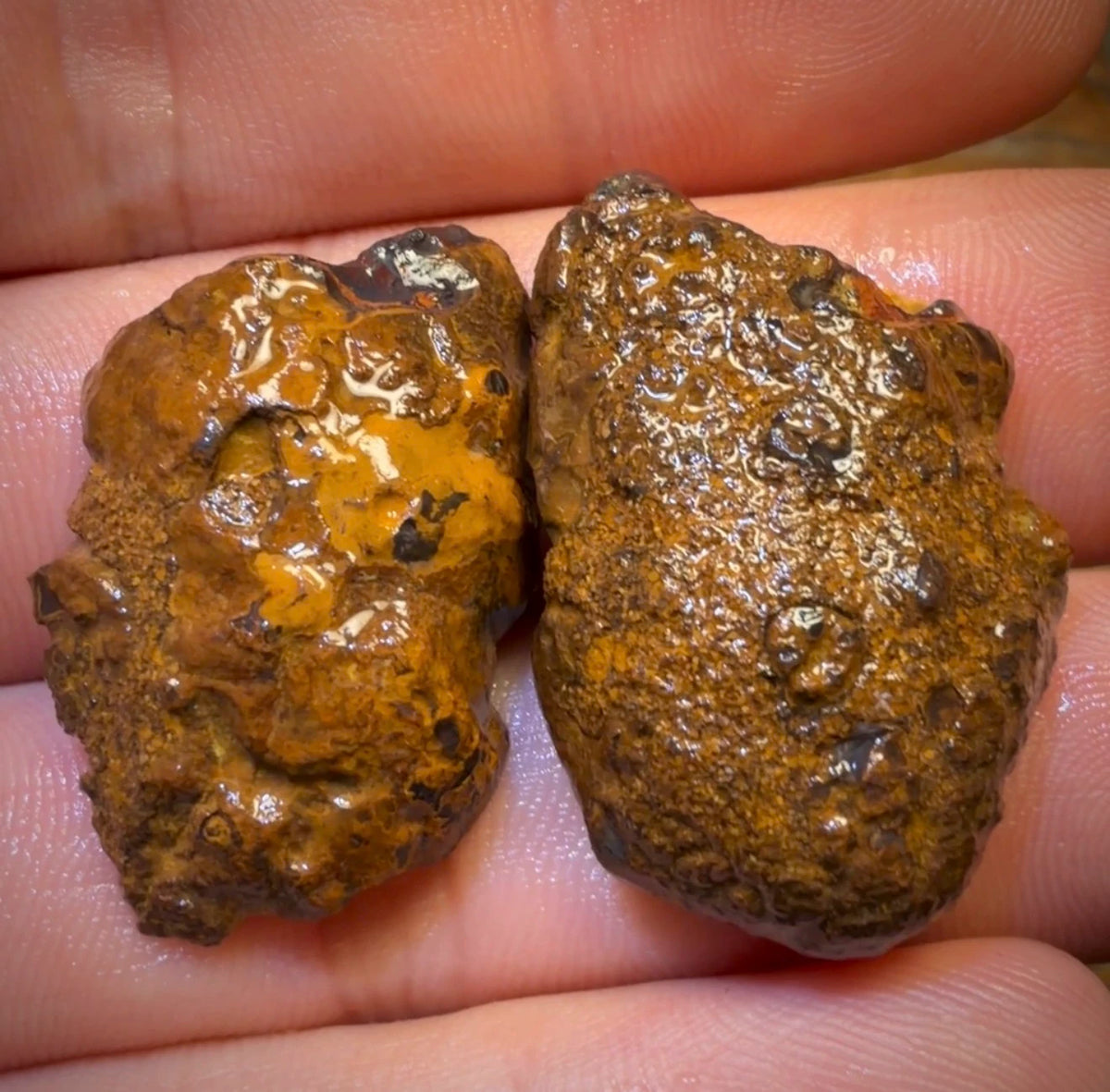 78.3cts - “Fifty Fifty” Yowah Nut Partial Crystal Centre Rough Specimen Pair