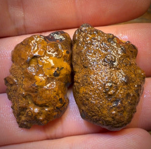 78.3cts - “Fifty Fifty” Yowah Nut Partial Crystal Centre Rough Specimen Pair
