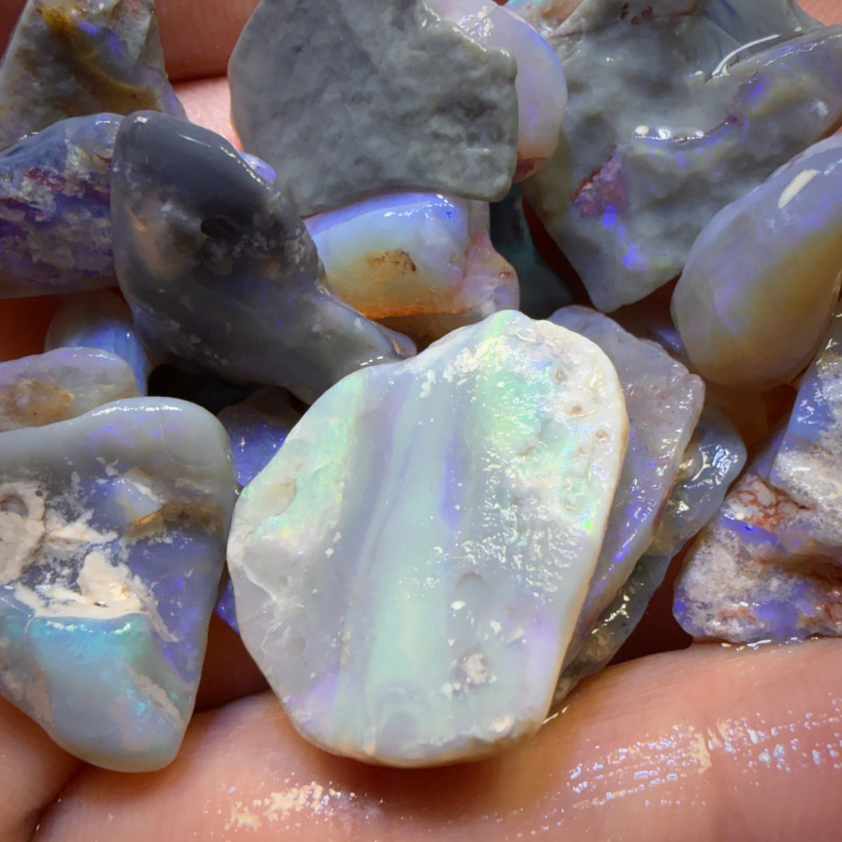81.9cts - 21x Lightning Ridge Opal Rough Parcel