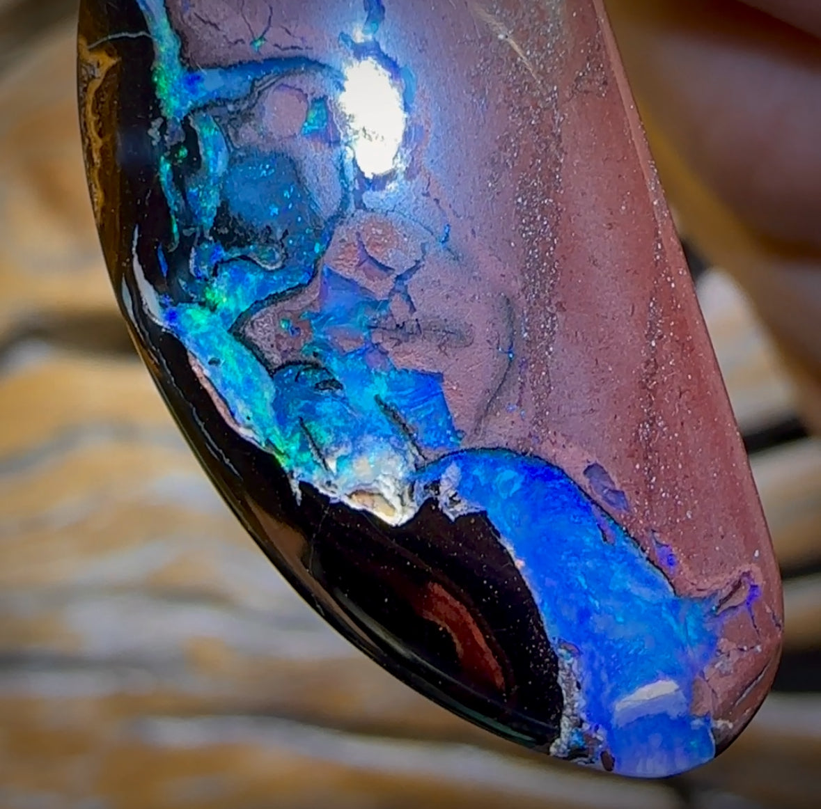 34 x 15mm - Drilled Tribal Queensland Boulder Opal Necklace