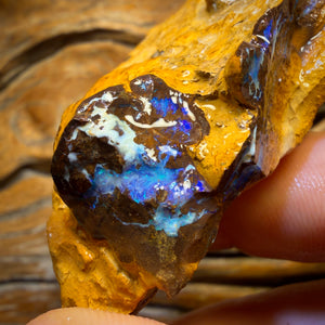 285cts - Yowah Opal Rohstück. Biskuitband
