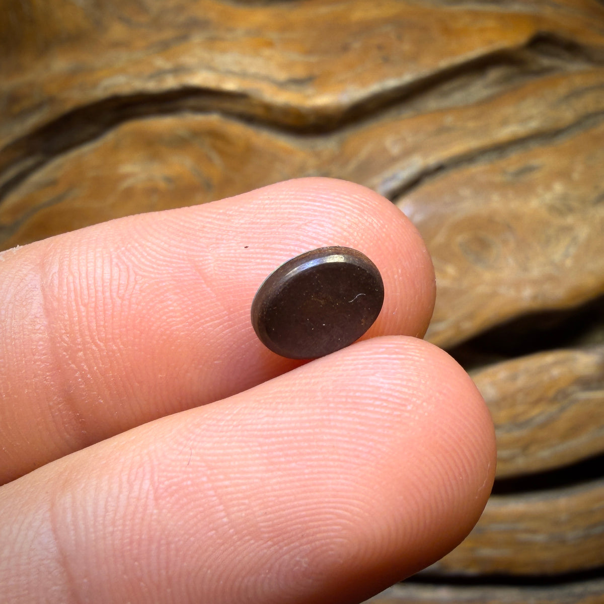 WILDCARD! 1.35cts - Australian Boulder Opal Doublet