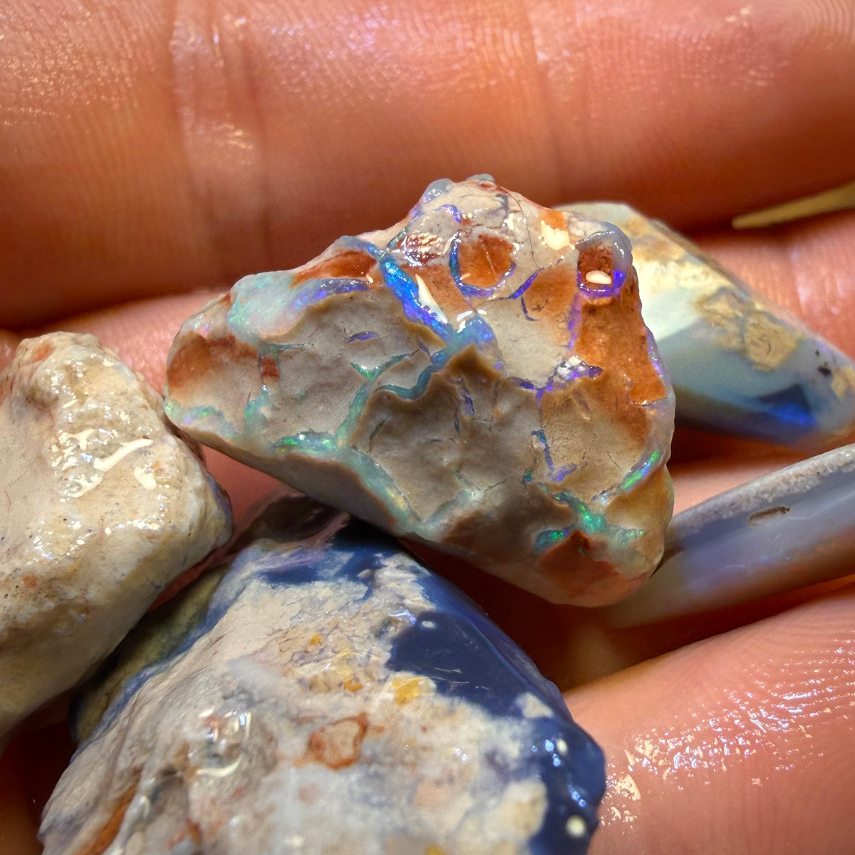 91.2cts - 5x Lightning Ridge Opal Rough Parcel