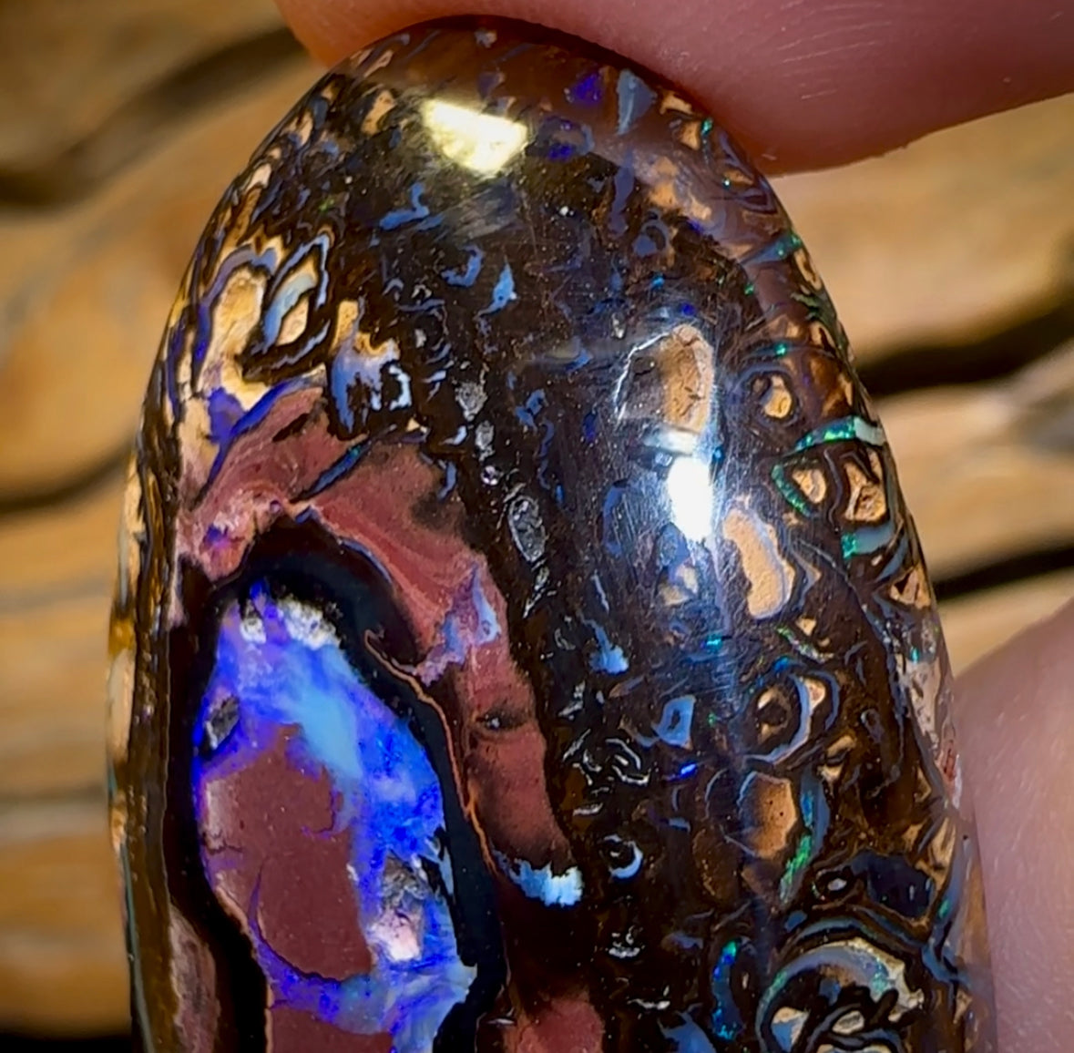 62.6cts - Koroit Nut Kernel Opal with Tribal Pattern Combination, Double Sided