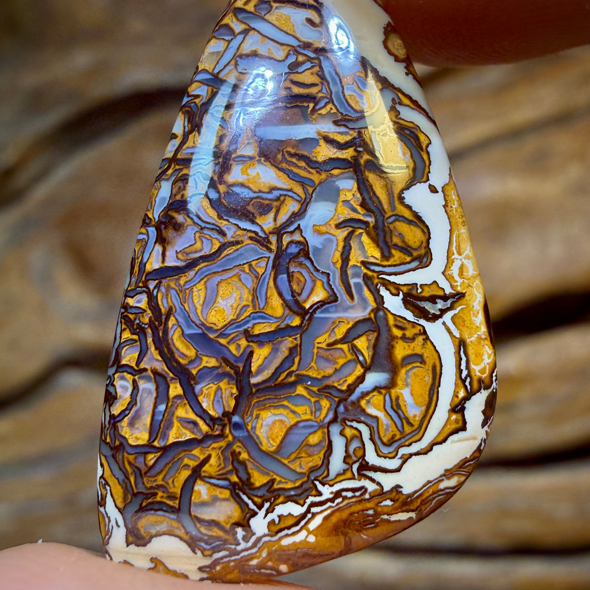 HDW 20.9cts - Rare Blonde/Porcelain Tribal Australian Boulder Opal from Yowah