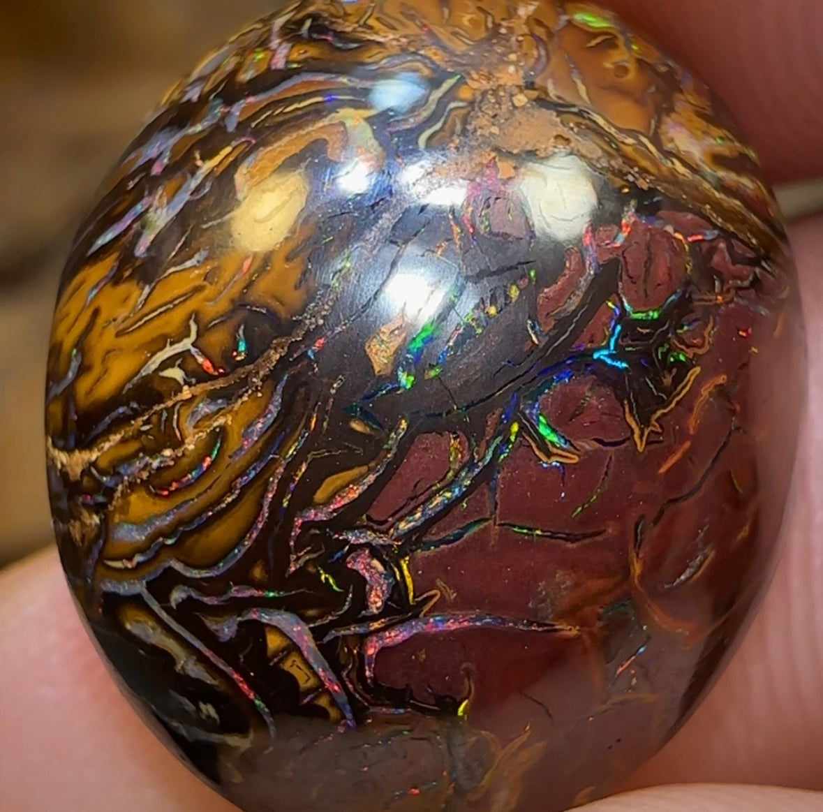 16.1cts - Yowah Nut Tribal Opal - Opal Whisperers