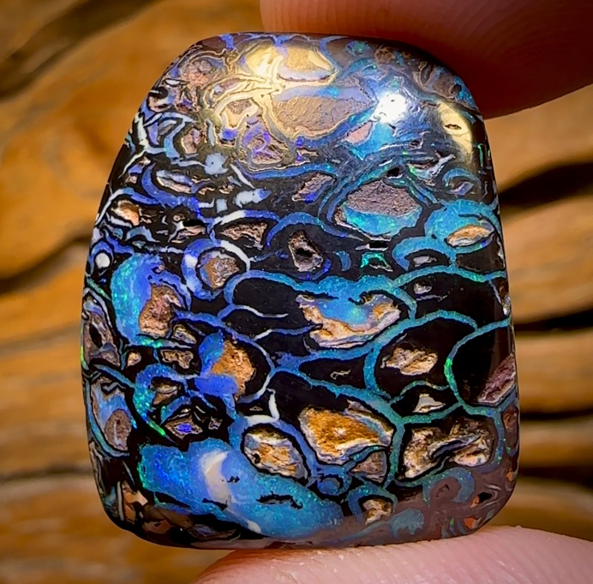 47.5cts - Top Tribal Koroit Nut Opal. Australian Opal