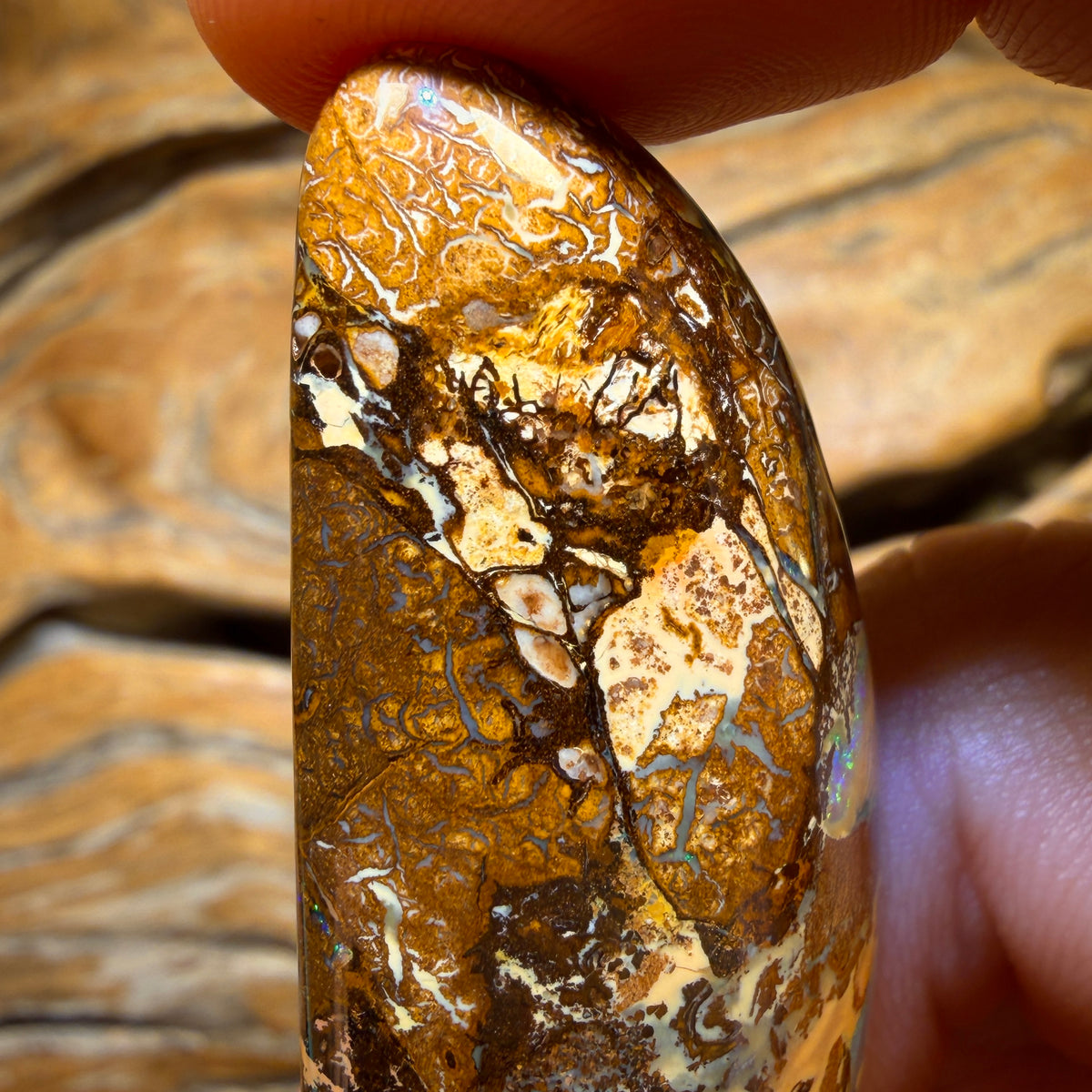 119.6cts - Wood Fossil Replacement Boulder Opal from Yowah