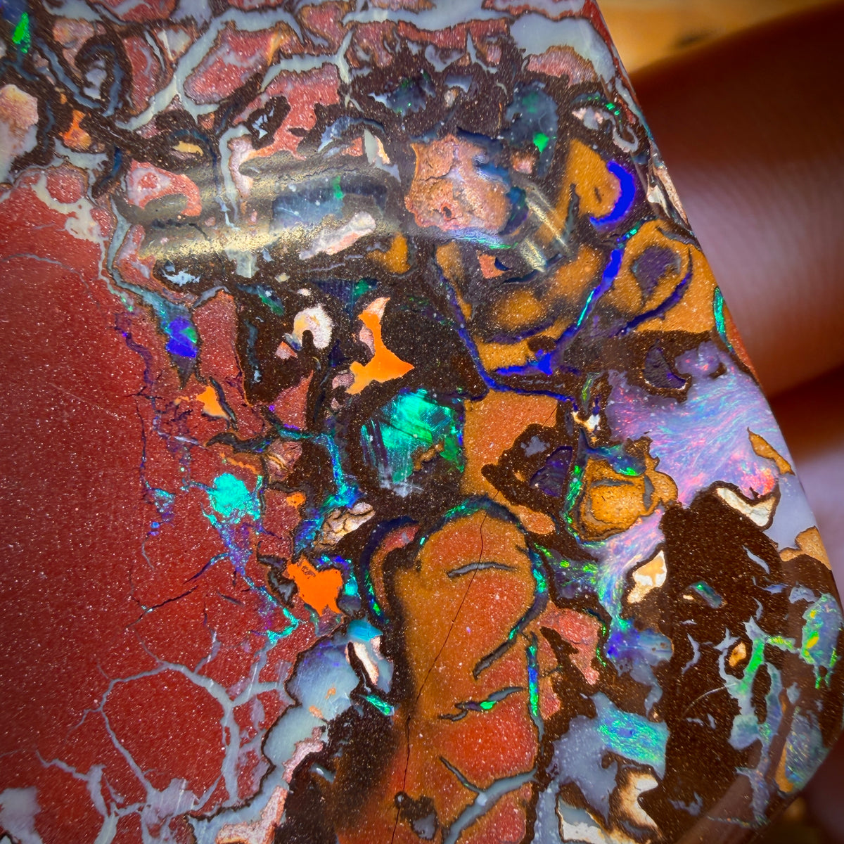 325.1cts - Top Tribal Massive Australian Boulder Opal Polished Specimen