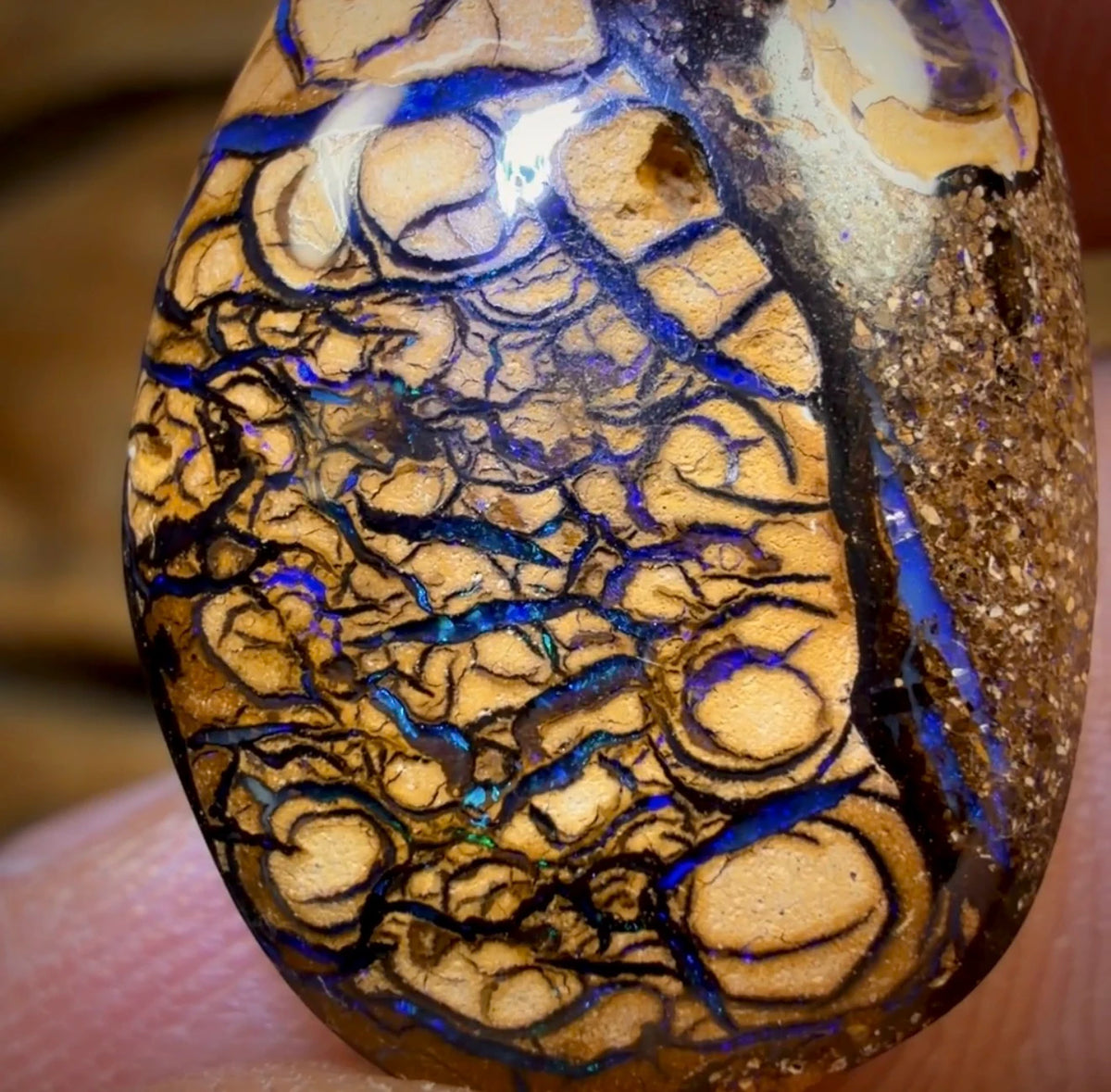 18.5cts - “WILD CARD” Australian Boulder Opal from Yowah