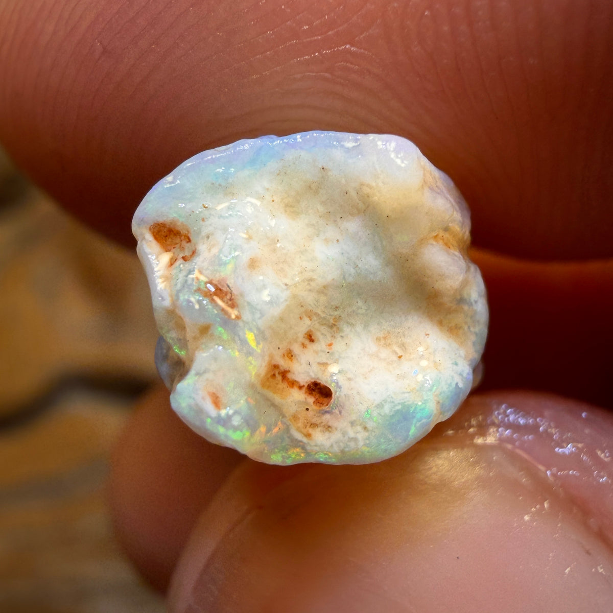12.6cts - Opalised Belemnite Geological Specimen from South Australia